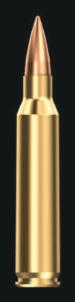 5.56x45mm M193 Ball FMJ (.223 Rem)